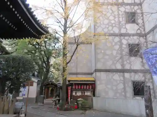 頂法寺（六角堂）の自然