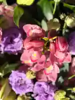 上尾御嶽神社の手水舎