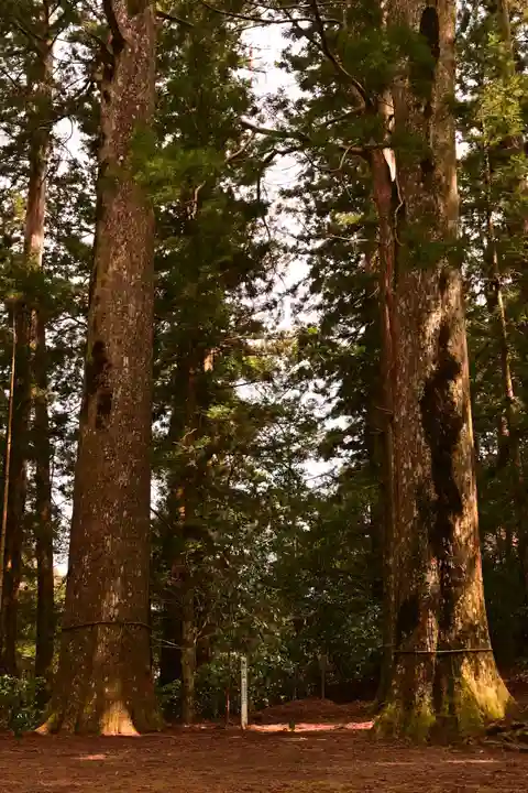 杉原神社(高知県)