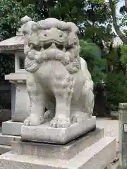 荒井神社の狛犬