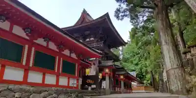 石上神宮(奈良県)