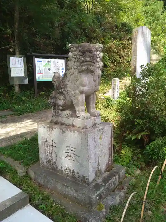 高麗神社の狛犬