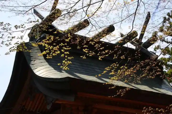 三春大神宮の本殿・本堂
