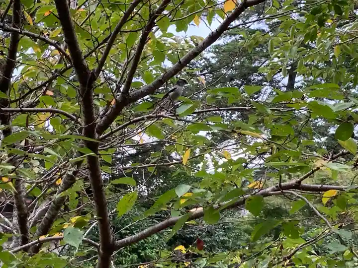 吉備津神社(岡山県)