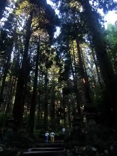 上色見熊野座神社の自然