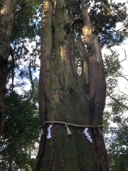 白山比咩神社(石川県)