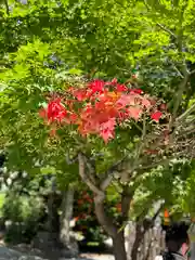 三輪神社(愛知県)