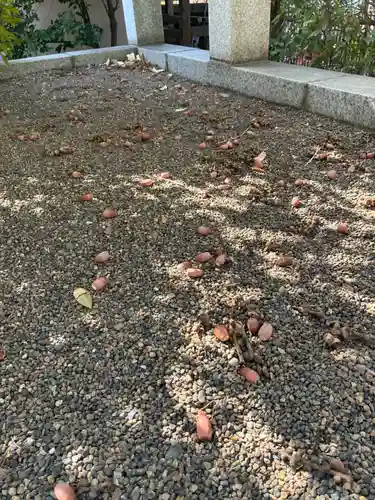 木曽根氷川神社(埼玉県)