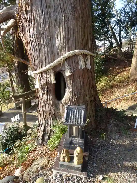 阿久津「田村神社」(郡山市阿久津町)旧社名:伊豆箱根三嶋三社(福島県)