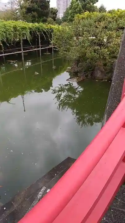 亀戸天神社の庭園