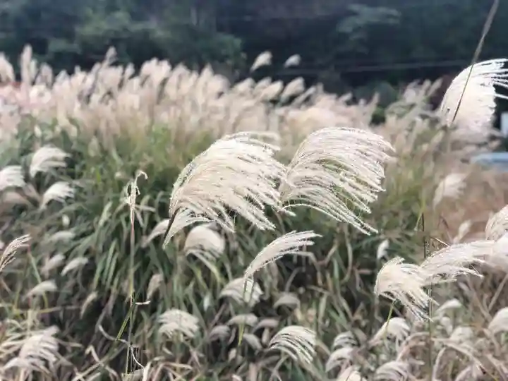 木舟山 順教寺の自然
