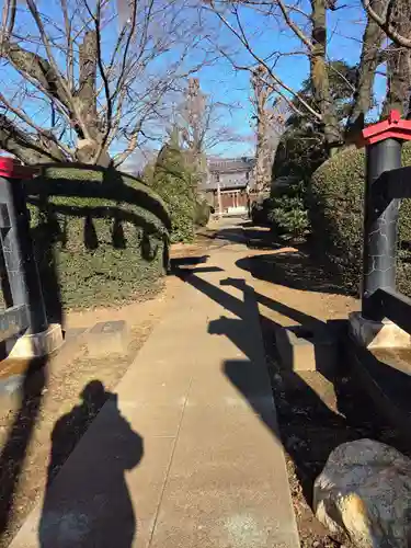 氷川神社(埼玉県)