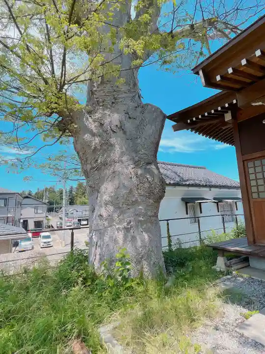神炊館神社 ⁂奥州須賀川総鎮守⁂(福島県)