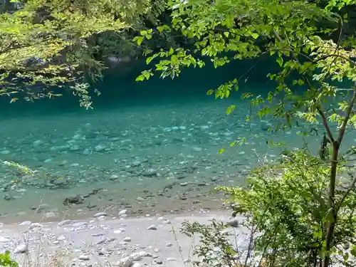 三社神社の自然