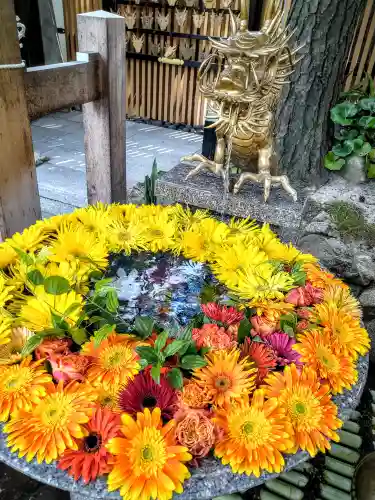 白山神社(新潟県)