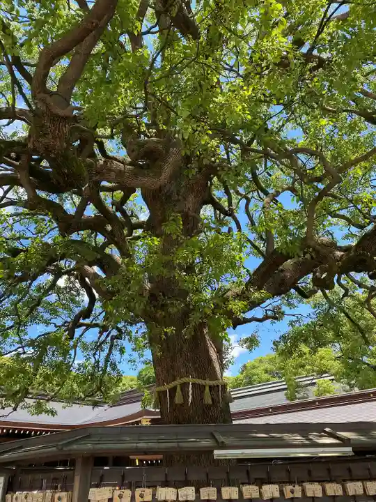 明治神宮(東京都)
