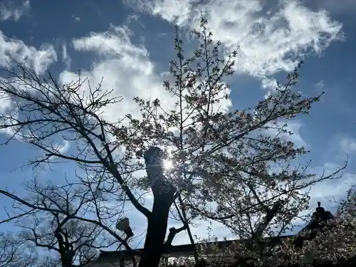 三嶋大社(静岡県)