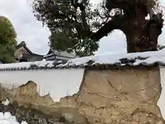 青蓮寺(兵庫県)