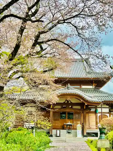 弘願寺の{uncategorized: "未分類", other: "その他", undefined: "問題あり", building: "その他建物", grave: "お墓", sacred_gate: "鳥居", guardian: "狛犬", statue: "像", buddha: "仏像", history: "歴史", nature: "自然", garden: "庭園", animal: "動物", pagoda: "塔", temizu: "手水舎", mountain_gate: "山門・神門", sanctuary: "本殿・本堂", subordinate: "末社・摂社", art: "芸術", scenery: "景色", jizo: "地蔵", ema: "絵馬", goshuin: "御朱印", omikuji: "おみくじ", items: "授与品その他", amulet: "お守り", goshuincho: "御朱印帳", eats: "食事", festival: "お祭り", votive_dance: "神楽", shichigosan: "七五三参", wedding: "結婚式", experience: "体験その他", initially: "初詣", around: "周辺", anti_infection: "感染症対策"}