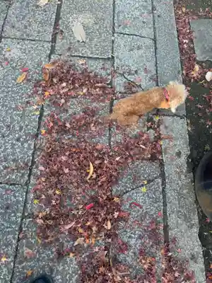 伊勢の国 四天王寺(三重県)