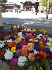 杉杜白髭神社の手水