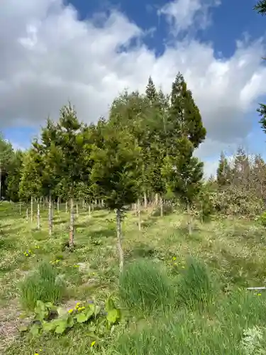 🌸乙部八幡神社(北海道)