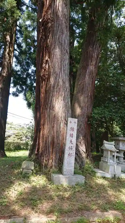 大戸神社の自然
