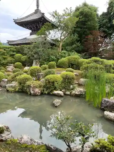 穴太寺の庭園