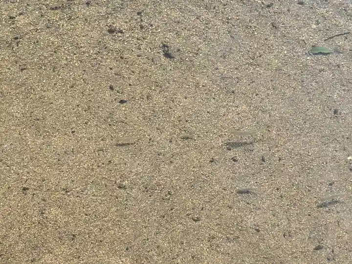 加茂神社(愛媛県)