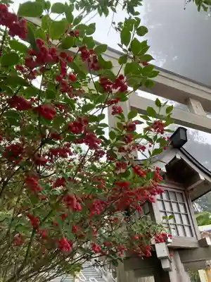 武蔵御嶽神社(東京都)