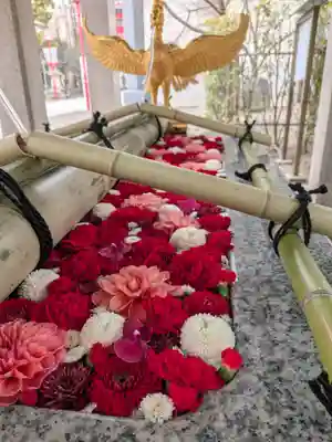 富岡八幡宮(東京都)