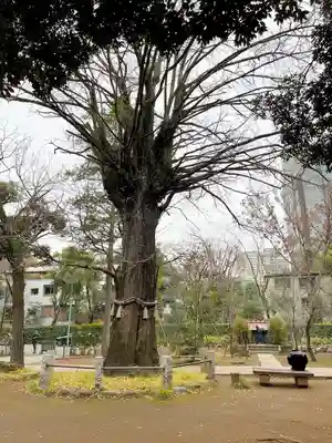 赤坂氷川神社(東京都)