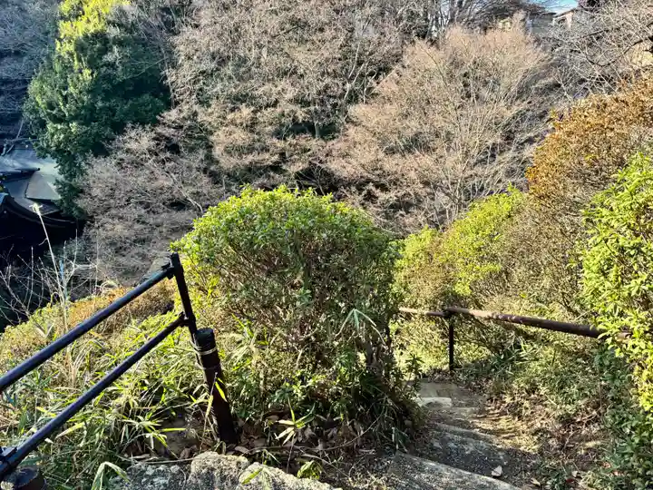 武州白子熊野神社(埼玉県)