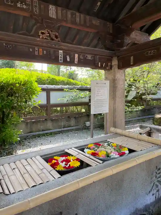 上野東照宮(東京都)