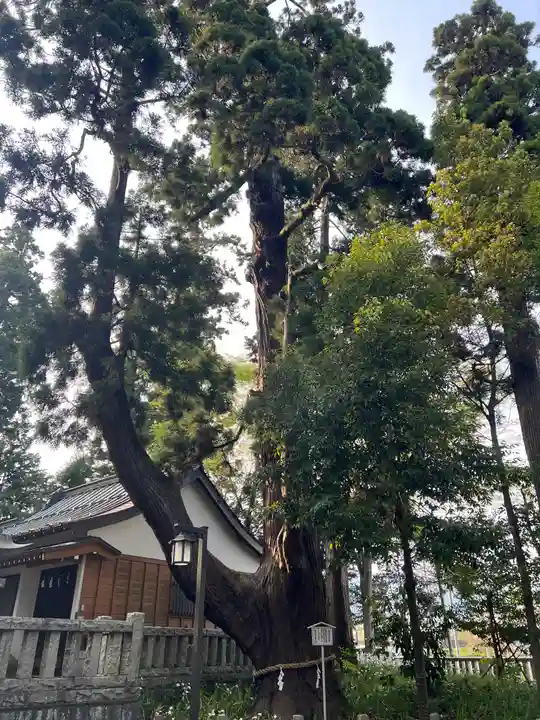 一幣司浅間神社(静岡県)
