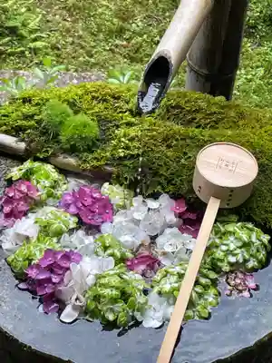 柳谷観音 楊谷寺の手水舎