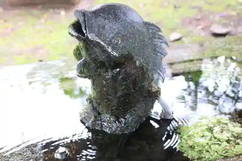 神炊館神社 ⁂奥州須賀川総鎮守⁂の手水舎