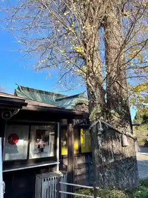 菊田神社(千葉県)