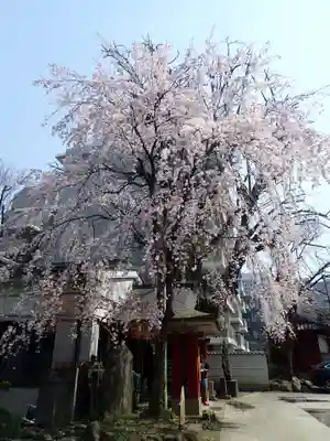 品川神社(東京都)