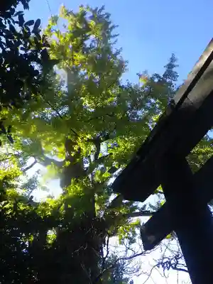 荏柄天神社のその他建物