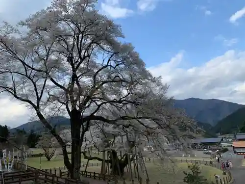 淡墨観音の自然