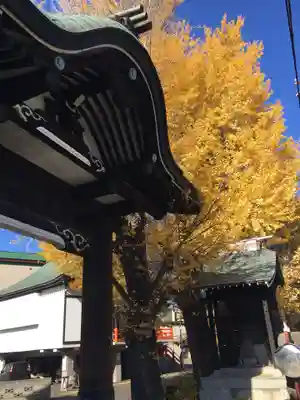 本龍寺の山門・神門