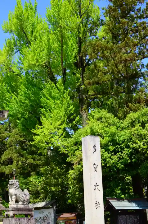 多賀大社(滋賀県)