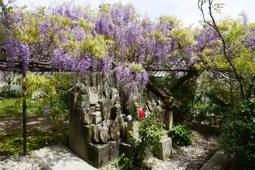 子安地蔵寺の自然