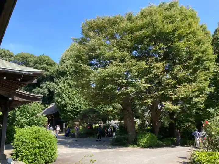 横浜 西方寺の自然