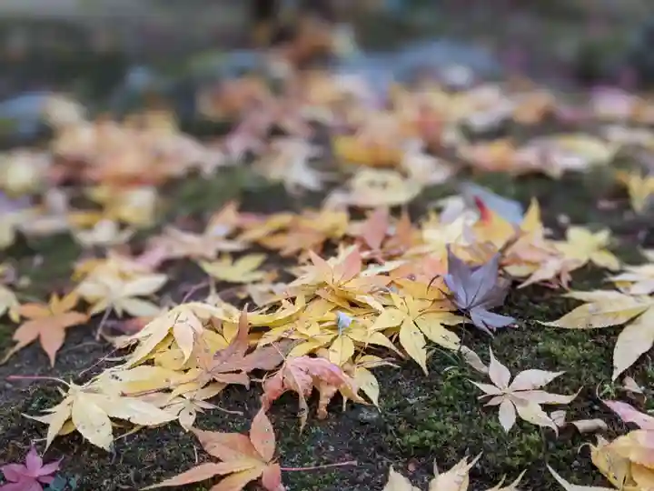 倶梨迦羅神社(長野県)