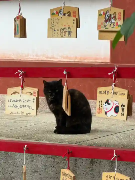 東神奈川熊野神社の{uncategorized: "未分類", other: "その他", undefined: "問題あり", building: "その他建物", grave: "お墓", sacred_gate: "鳥居", guardian: "狛犬", statue: "像", buddha: "仏像", history: "歴史", nature: "自然", garden: "庭園", animal: "動物", pagoda: "塔", temizu: "手水舎", mountain_gate: "山門・神門", sanctuary: "本殿・本堂", subordinate: "末社・摂社", art: "芸術", scenery: "景色", jizo: "地蔵", ema: "絵馬", goshuin: "御朱印", omikuji: "おみくじ", items: "授与品その他", amulet: "お守り", goshuincho: "御朱印帳", eats: "食事", festival: "お祭り", votive_dance: "神楽", shichigosan: "七五三参", wedding: "結婚式", experience: "体験その他", initially: "初詣", around: "周辺", anti_infection: "感染症対策"}