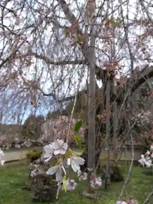 福徳寺(京都府)