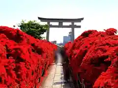 長岡天満宮の庭園