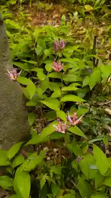三明院(京都府)